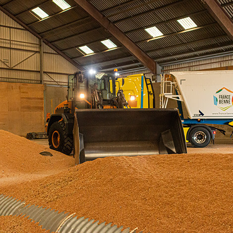 Hangar agricole pour stockage à plat céréales vrac- Transporteur Piron, 